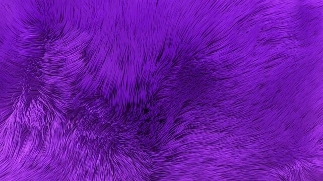 Looping 3D fur in purple tones, waving gently with the wind. Perfect for dreamy, mystical, and surreal abstract visuals.