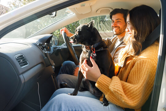 A man and a woman in a car with their dog about to go on a holiday