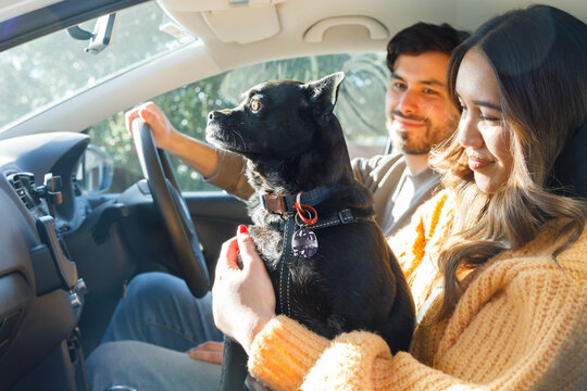 A man and a woman in a car with their dog about to go on a holiday