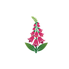Stylized foxglove flower icon on white background