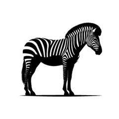 Elegant Zebra Artwork Vector – Zebra 27 Design
