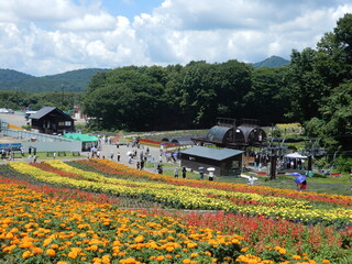 群馬県にあるたんばらラベンダーパークの彩の丘