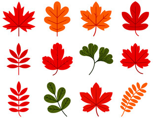 autumn leaves set of illustration