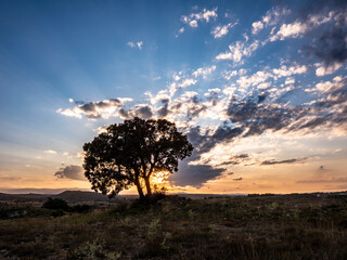 Beautiful sunset in the meadows of the village of Pradas (Valencia, Spain)