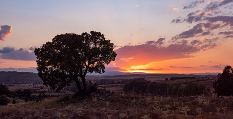 Beautiful sunset in the meadows of the village of Pradas (Valencia, Spain)