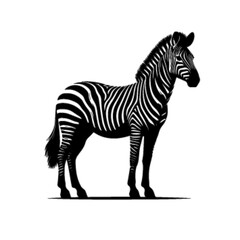 Stylized Safari Zebra Vector – Zebra 31 Artwork