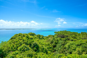 Fototapeta premium 牧山展望台からの眺め