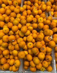 oranges at the market 
