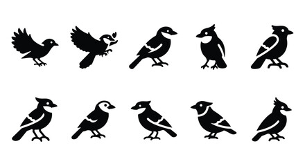 Vector silhouette illustration a black silhouette of a magpie or jay bird perched, isolated on a white background