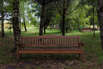 A Serene Wooden Bench Nestled in a Lush Green Park Surrounded by Majestic Trees and a Peaceful Environment Perfect for Relaxation and Reflection on a Beautiful Day