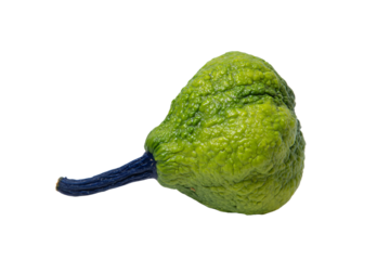 a green fruit with a blue string on it