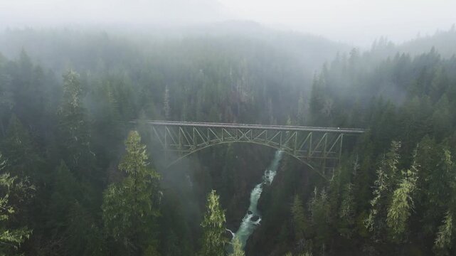 Exploring A Forested Valley With A Lone Vance Creek Bridge Suspended Above The Trees