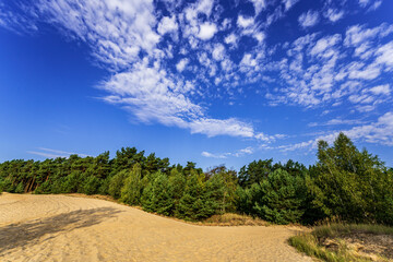 Pätzer Gravel Pit, Arid Landscape in Brandenburg, Germany