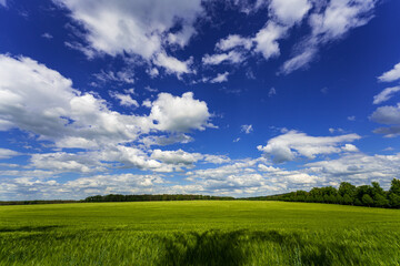 Country Scene Field, Brandenburg, Germany