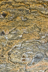 Natural rock surface reveals beautiful textures and colors, indicating geological processes, during the warm light of sunset by the coast.