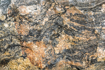 Close-up view showcases intricate patterns and earthy tones in a rocky surface with natural stone textures and variations.