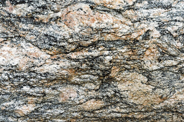 A close-up of a textured rock surface, revealing intricate patterns and colors formed over time in natural light.