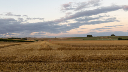 The harvest on the Marlborough Downs in Wiltshire England. Very dry summer weather. 