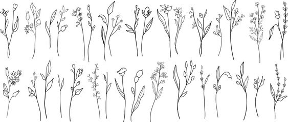 Hand drawn line art botanical leave elements. Vector illustration for label, invitation, frame, logo.