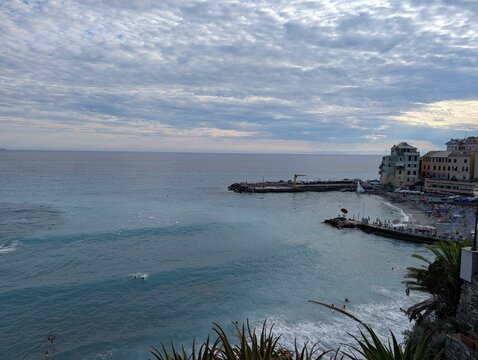 view of the port of bogliasco genova