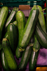 Fresh and Vibrant Zucchini Displayed in a Market Setting Showcasing the Bright Green Colors of These Healthy Vegetables Packed with Nutrients and Culinary Potential