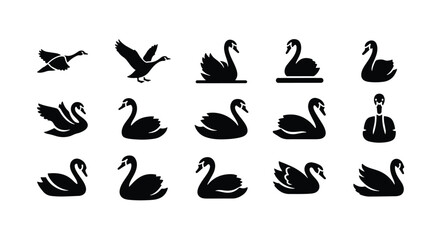 Vector silhouette illustration a collection of swan silhouettes in different poses, isolated on white background