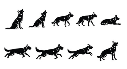 Vector silhouette illustration a german shepherd dog illustration, walking and sitting, isolated on white background