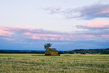 Fototapeta premium Green meadow during the sunset with beautiful sky