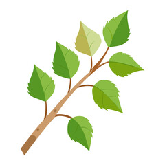 Naklejka premium green leaves isolated