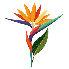 colorful leaves isolated on white