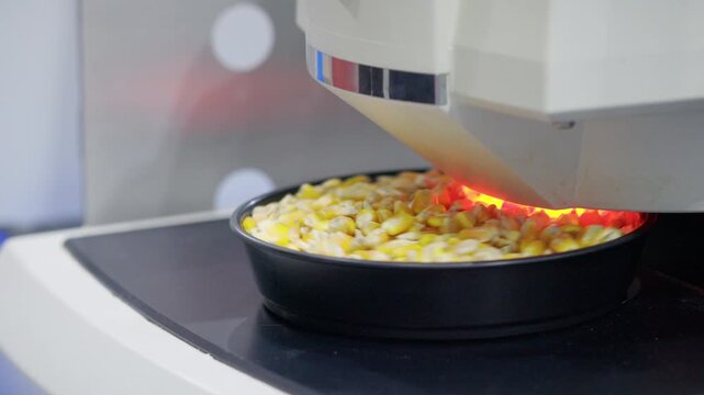 Corn kernels being scanned by an infrared grain analyzer in an agricultural lab. High-tech testing of moisture and composition using near infrared light. Lab rotor spins during measurement.