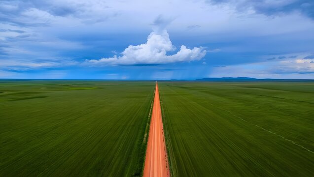 Aerial view of dirt road through green fields under cloudy sky landscape photography travel scene - Powered by Adobe