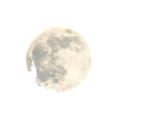 Naklejka premium Full moon silhouetted against a dark night sky