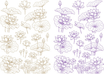 Hand Drawn Lotus Flower Line Art Set – Botanical Outline Illustration of Sacred Lotus Blossoms and Leaves