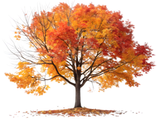 Vibrant autumn tree with fiery orange and yellow leaves