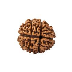 Single Rudraksha Bead Isolated on Transparent Background