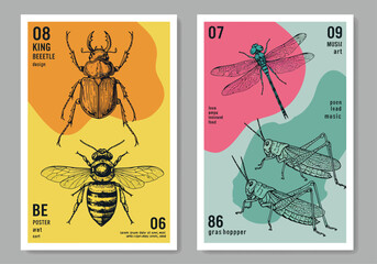 A set of insectthemed posters features vintage illustrations with colorful abstract backgrounds