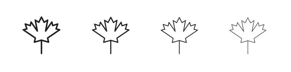 Maple leaf icon linear vector icon in a editable style.