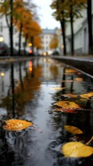 an autumn leaf falling on the street