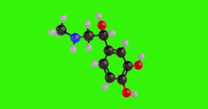 4k Resolution Video: Structural Model of Epinefrine Molecule Chemical Formula Seamless Looped Rotating on a green screen background with Alpha Matte