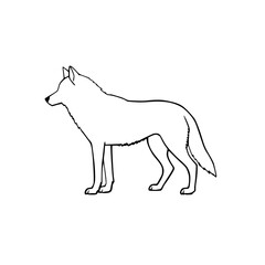 wolf vector illustration