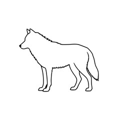 wolf vector illustration