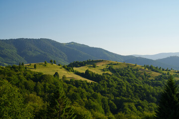 Fototapeta premium Carpathian hills at dawn in summer. Nature, tourism, eco, Carpathians, summer, rural landscape, clean air, landscape design.