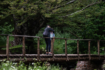 Obraz premium Mother and son embracing on wooden bridge in lush forest