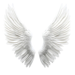Elegant White Angel Wings in Flight