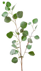 Realistic green leafy branch