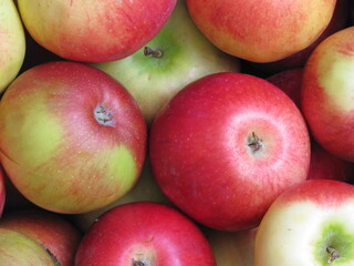 Red and green apples. Apples on the table.