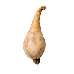Vibrant Butternut Squash Isolated on White Background for Food Product Designs