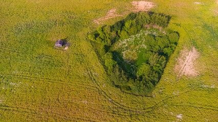 Aerial view of an abandoned rural shed near a dense patch of trees growing in a dried-up former...