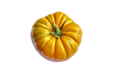 a yellow tomato on a white background